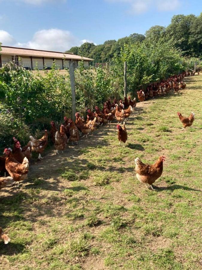 Au Pre Des Alizes - Insolite A La Ferme Des Alizes Chalet Vallon-sur-Gee